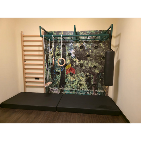 2 Climbing wall panel with hand grips.
Long monkey bar frame

Wooden Swedish ladder
&nbsp;Swing
Gymnastic rings

Punching Bag
Safety mattress