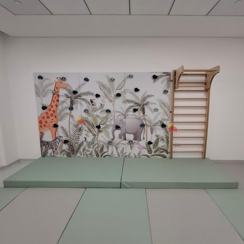 Forest themed Climbing walls Panel with Swedish ladder | Combo