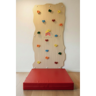 Rock Themed Climbing Wall With Safety Mattress | Single Panel