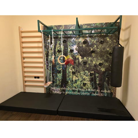 2 Climbing wall panel with hand grips.
Long monkey bar frame

Wooden Swedish ladder
&nbsp;Swing
Gymnastic rings

Punching Bag
Safety mattress