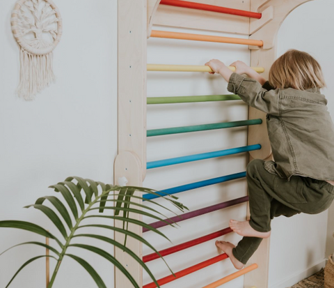 Swedish Ladder | Adjustable Heights| Colorful Bars