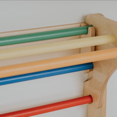 Swedish Ladder | Adjustable Heights| Colorful Bars