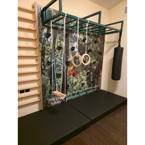 2 Climbing wall panel with hand grips.
Long monkey bar frame

Wooden Swedish ladder
&nbsp;Swing
Gymnastic rings

Punching Bag
Safety mattress