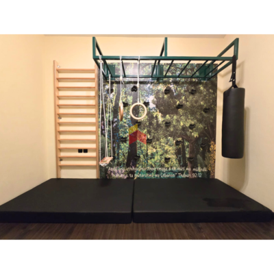 2 Climbing wall panel with hand grips.
Long monkey bar frame
Wooden Swedish ladder
Swing
Gymnastic rings
Punching Bag
Safety mattress