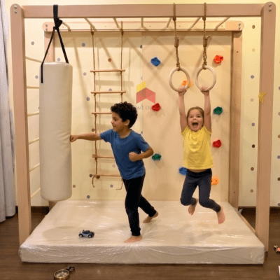 Monkey Bar With Climbing Wall Panel | Basic Model