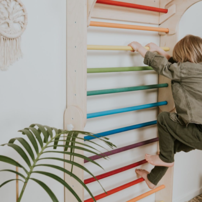 Swedish Ladder | Adjustable Heights| Colorful Bars