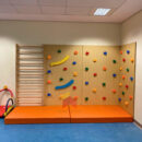 3 Panels of Climbing wall with Swedish ladder Combo | Basic Mode Home Decor Kids